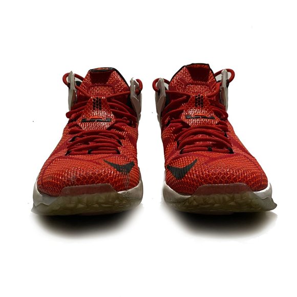 LeBron 12 'Heart Of A Lion' | ❤🦁 | (US Size 10) - Picture 2 of 3